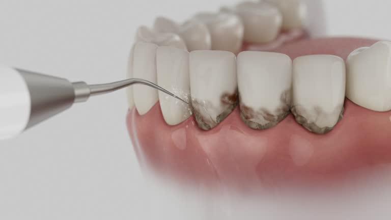 Reliable Dental contractor in Lakewood Club, MI by Dentist Open Now